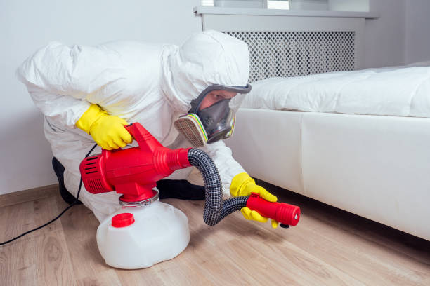 Best Wasp Removal Services  in North River Shores, FL