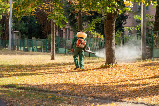 Wildlife Control Services in North River Shores, FL